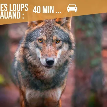 Lejlighed Le Cocon - Netflix/wifi Fibre - Sejour Lozere *
